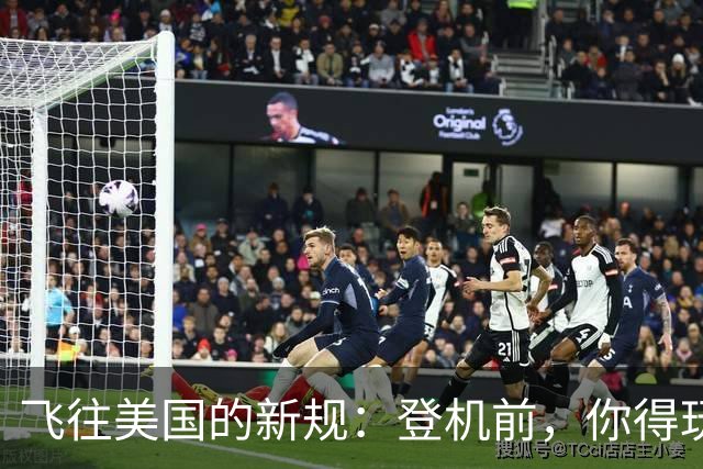 飞往美国的新规：登机前，你得玩个声明游戏！